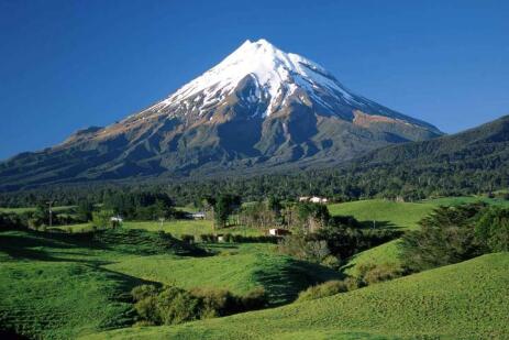 الخدمة رقم 3